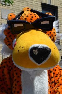 Top những cách nâng tầm giá trị mascot quảng cáo