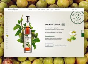 Báo giá thiết kế logo tháng 11- 2025